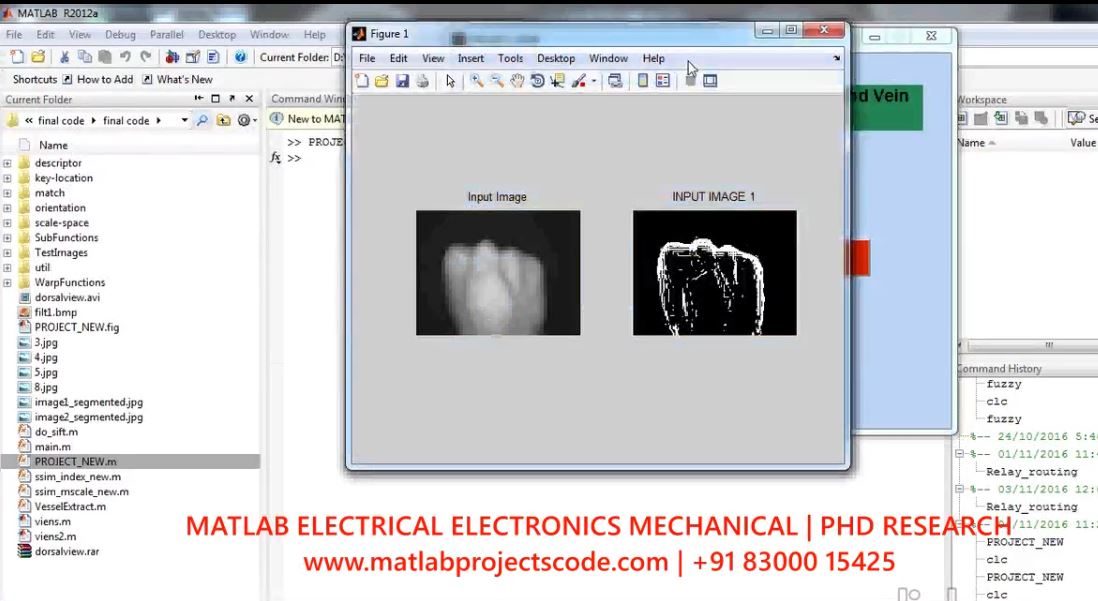 Biometric Template Security Using Dorsal Hand Vein project thumbnail image