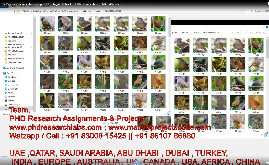 Bird Species Classification Using Cnn __ Kaggle Dataset __ Cnn Classification __ Matlab Code project thumbnail image