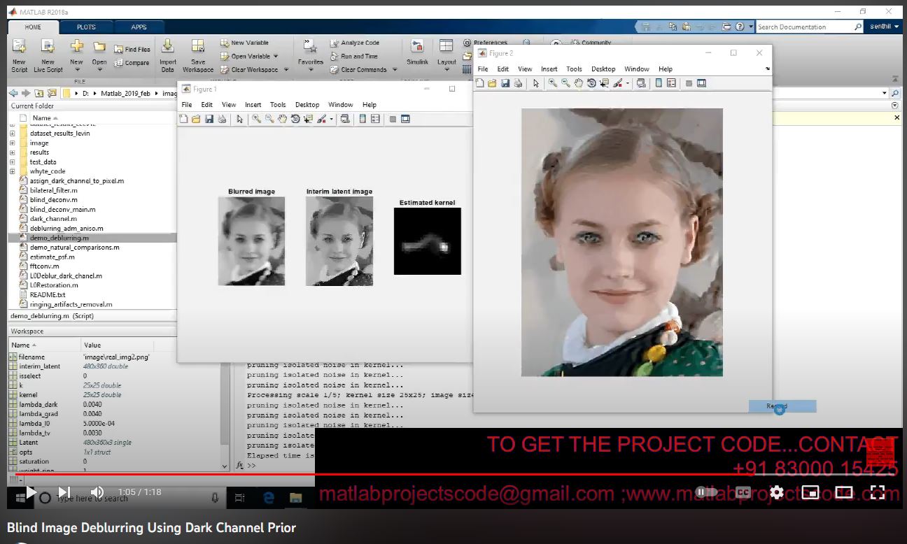 Blind Image Deblurring using Dark Channel Prior project thumbnail image