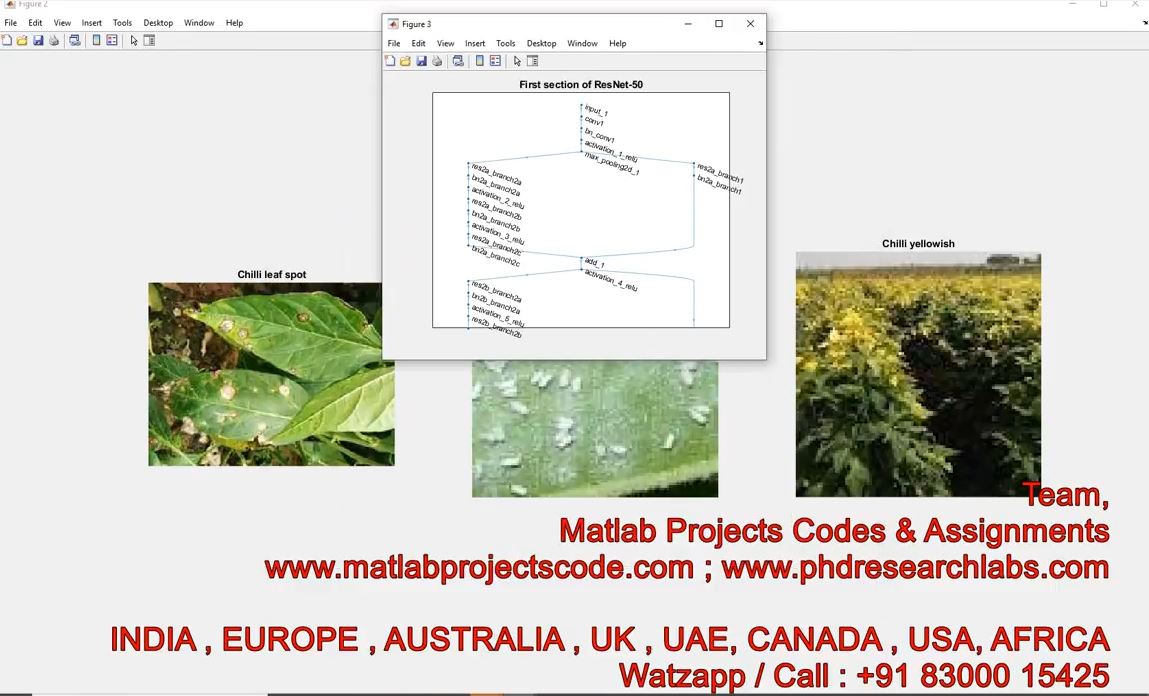 Chili Plant Leaf Disease Detection And Classification Using Image Processing Cnn Matlab Code __ Cnn project thumbnail image