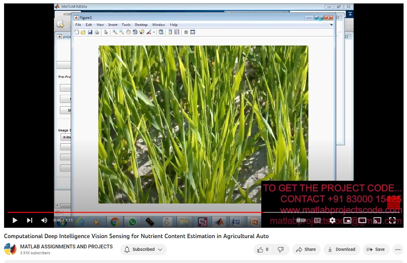 Computational Deep Intelligence Vision Sensing For Nutrient Content Estimation In Agricultural Auto project thumbnail image
