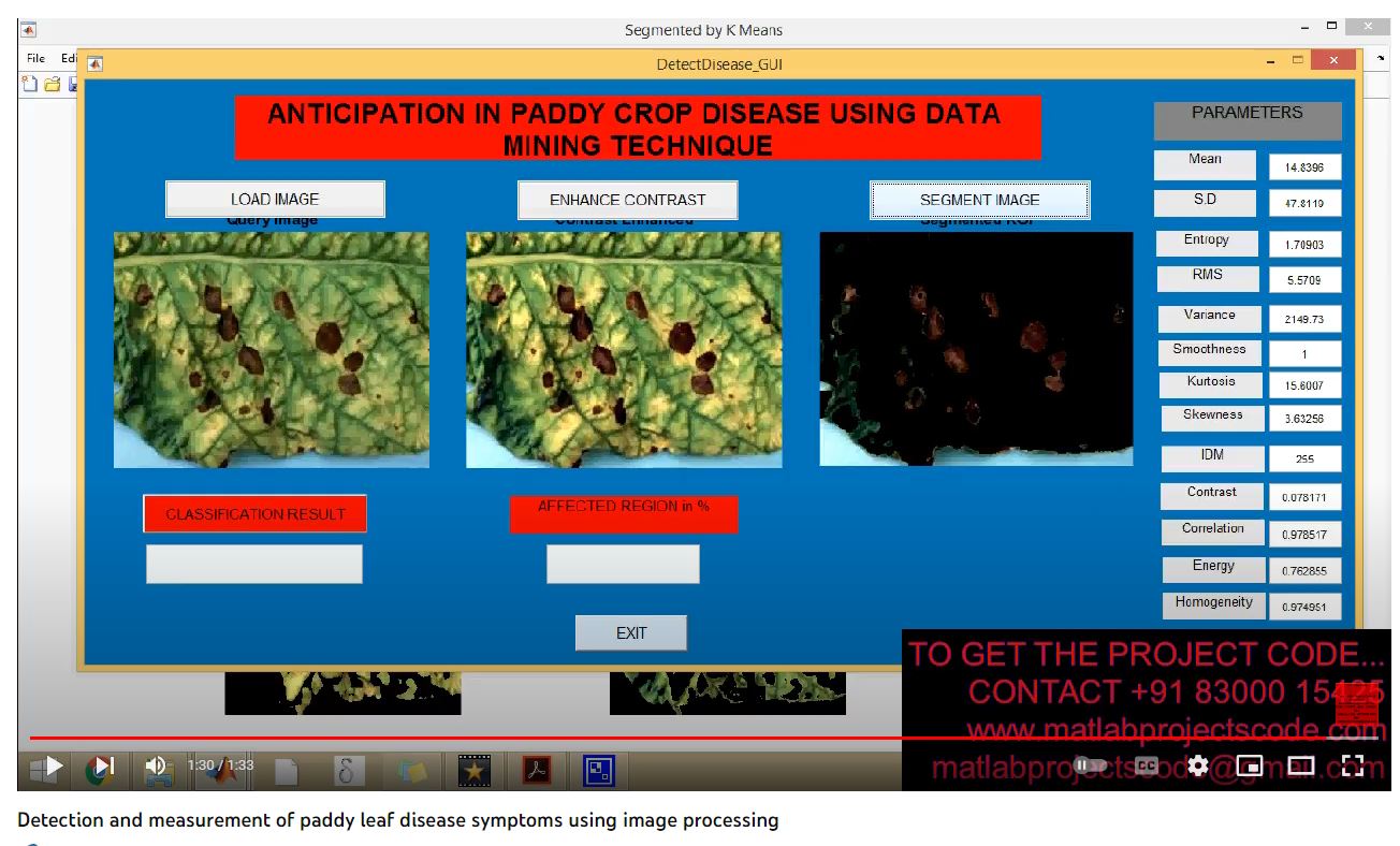 Detection and Measurement of Paddy Leaf Disease Symptoms using Image Processing project thumbnail image