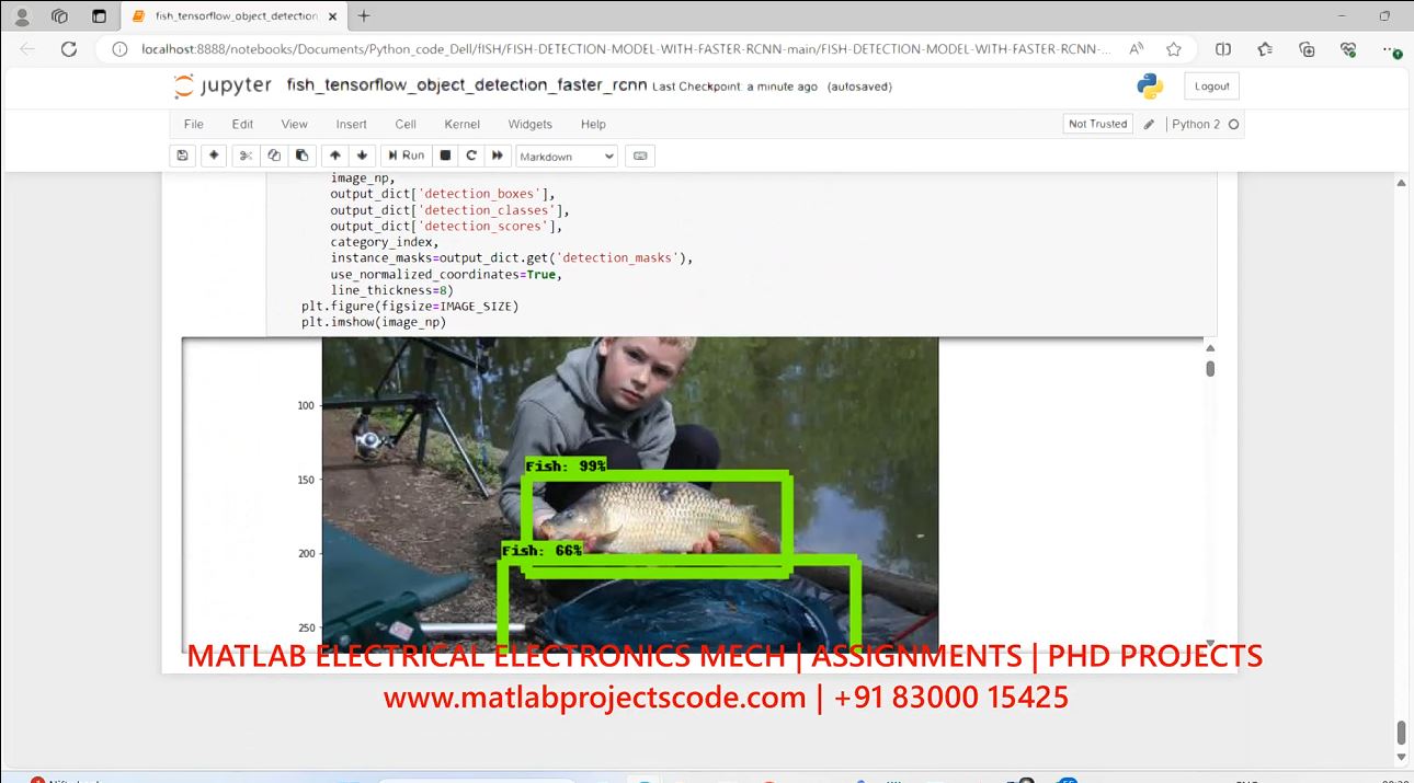 Fish Detecion Using Faster R-Cnn Object Detection Python Code project thumbnail image