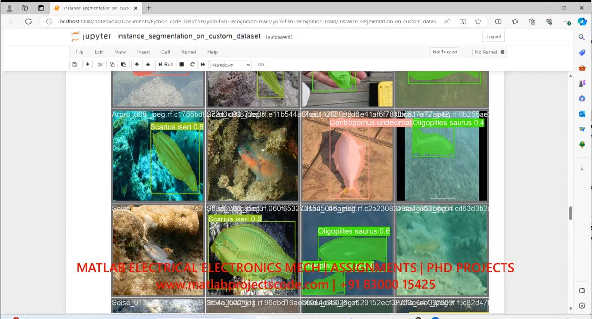 Fish Detection And Classification In Yolo Dataset Gpu Python Code project thumbnail image