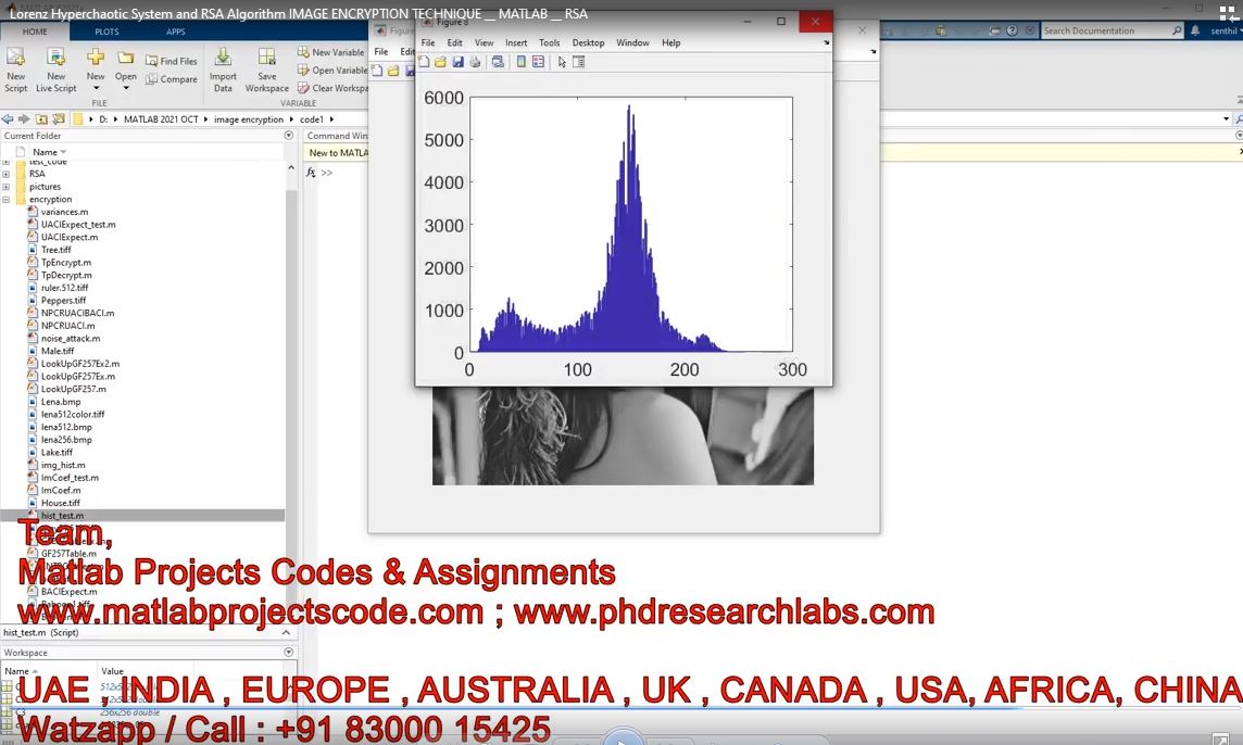 Lorenz Hyperchaotic System And Rsa Algorithm Image Encryption Technique - Rsa project thumbnail image