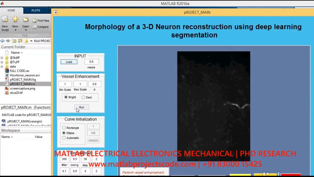Morphology Of A 3D Neuron Reconstruction Using Deep Learning Segmentation project thumbnail image