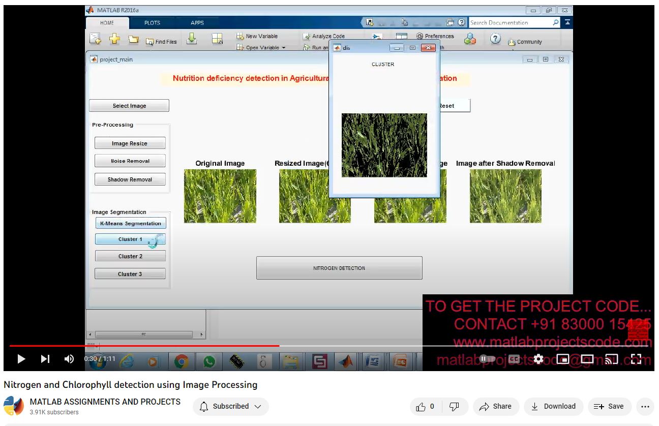 Nitrogen And Chlorophyll Detection Using Image Processing project thumbnail image