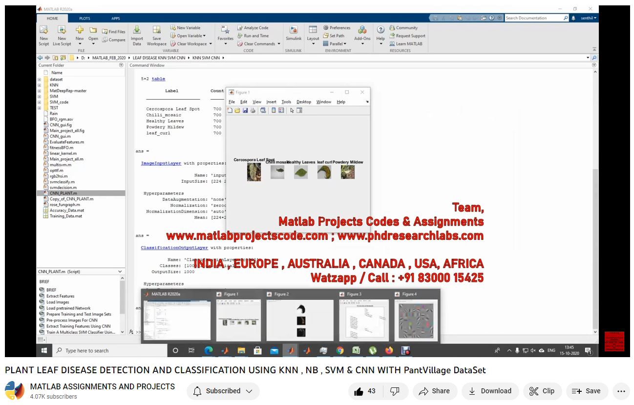 Plant Leaf Disease Detection And Classification Using Knn Nb Svm Cnn With Pantvillage Dataset-Matlab Simulink-Electrical Assignments-Projects-Phd Research project simulation thumbnail for Signal Processing and AI Engineering