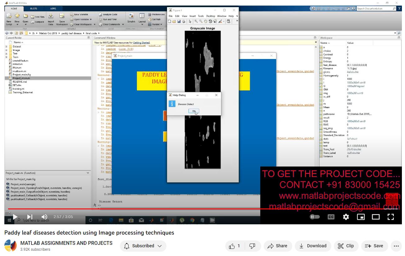 Paddy Leaf Diseases Detection Using Image Processing Techniques project thumbnail image