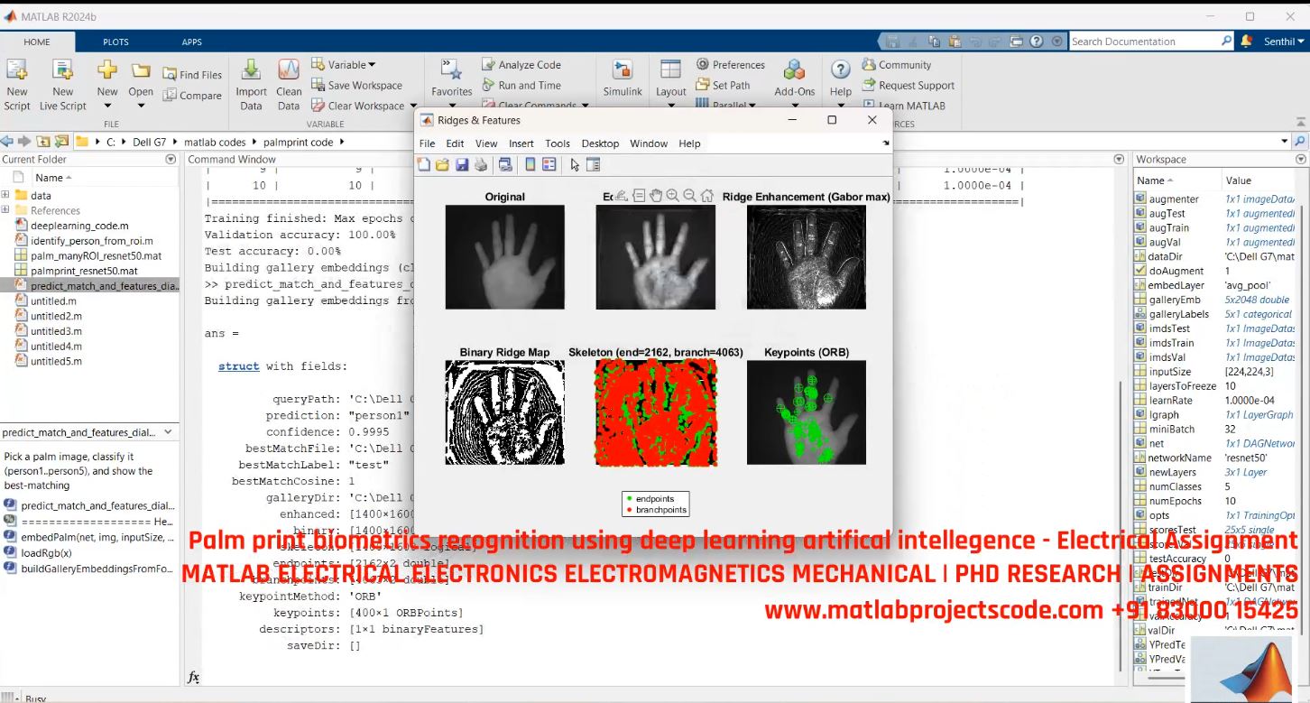 Palm Print Biometrics Recognition Using Deep Learning - Ai-Based Matlab-Python Implementation project thumbnail image