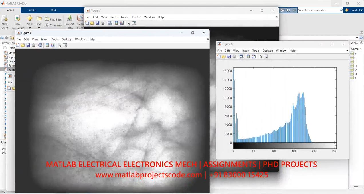 Palm Veins Image Recognition Matlab Code -Image Processing - Phd Research project thumbnail image