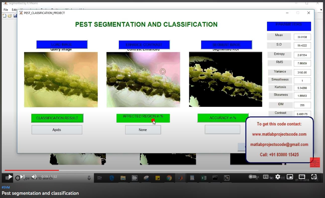 Pest Segmentation and Classification project thumbnail image