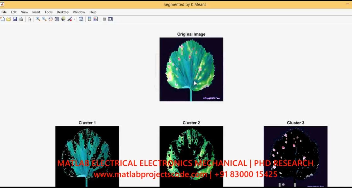 Plant Leaf Disease Detection Using Segmentation And Svm Classification project thumbnail image