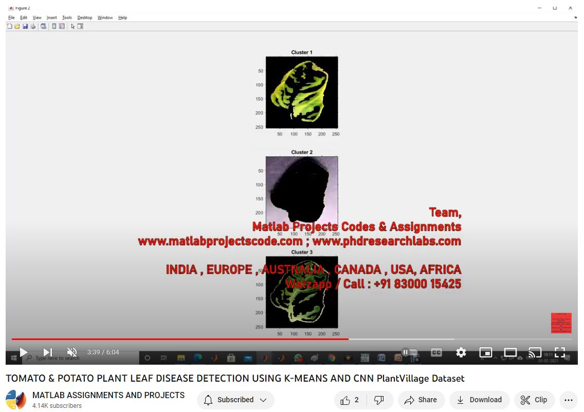 Tomato Potato Plant Leaf Disease Detection Using K-Means And Cnn Plantvillage Dataset project simulation thumbnail for Signal Processing and AI Engineering