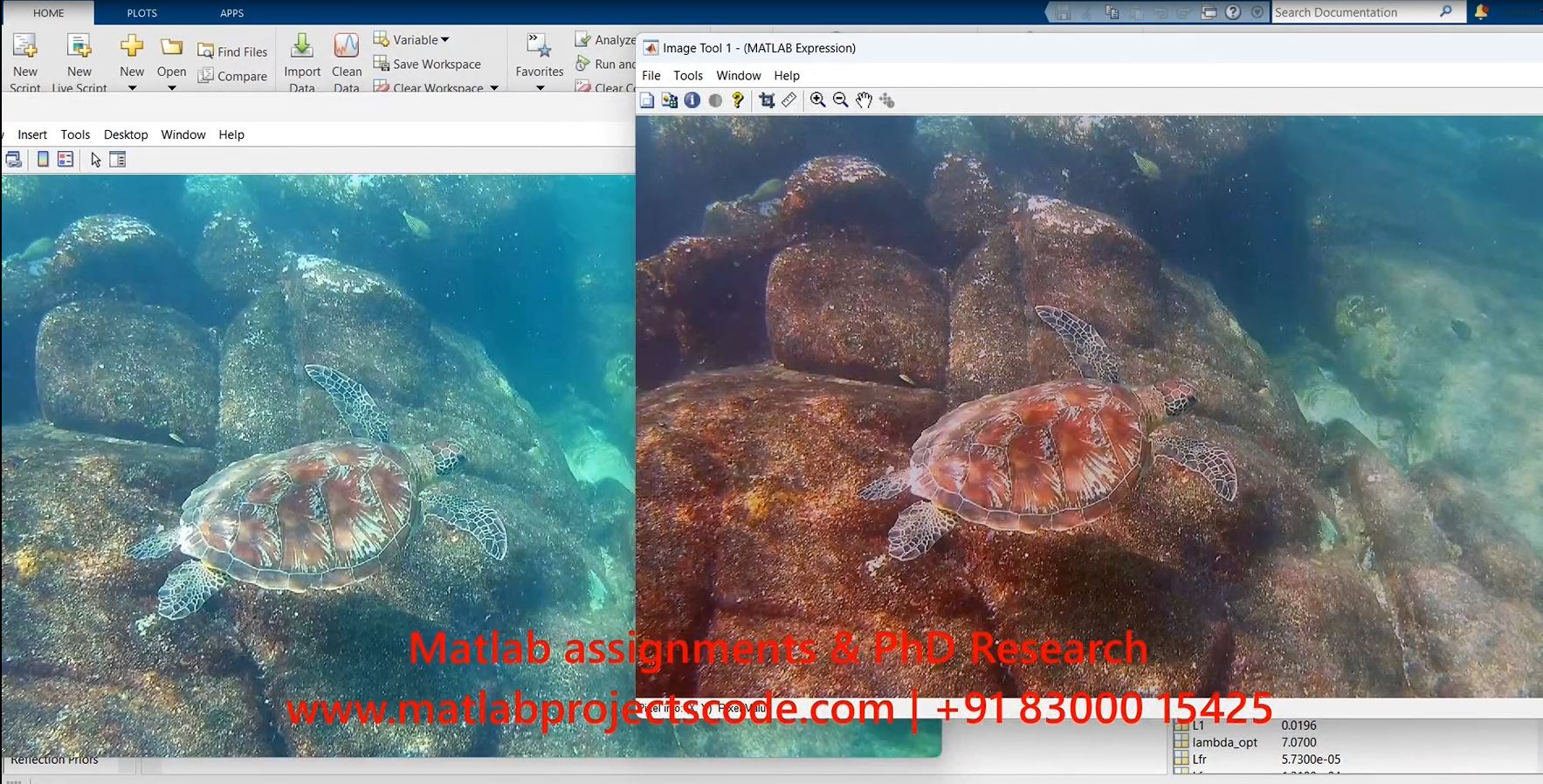 Underwater Image Enhancement Using Hyper-Laplacian Reflection Priors-Image Processing project thumbnail image